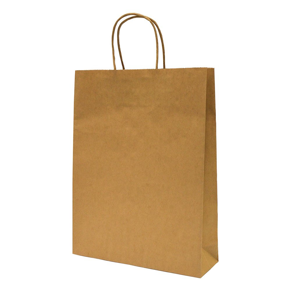 Brown Paper Carry Bag Twist Handle (Small)