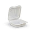 Biodegradable PP Containers 6"x6"x2.8" 50pcs