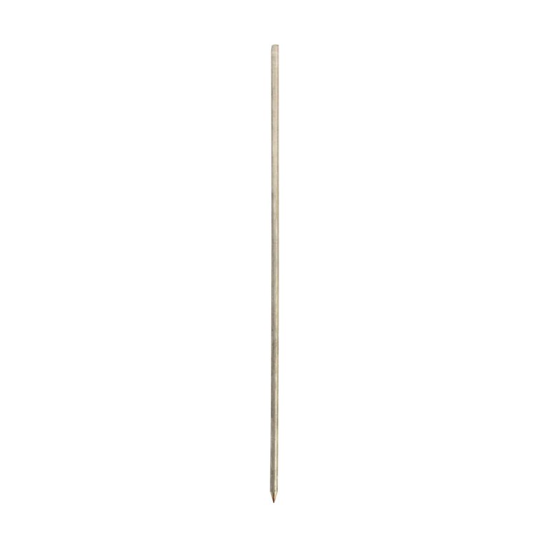 Stainless Steel Extra Thick Skewer BBQ Pork 12"