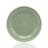 Crockery Plate Round Thick Rim Green 10"