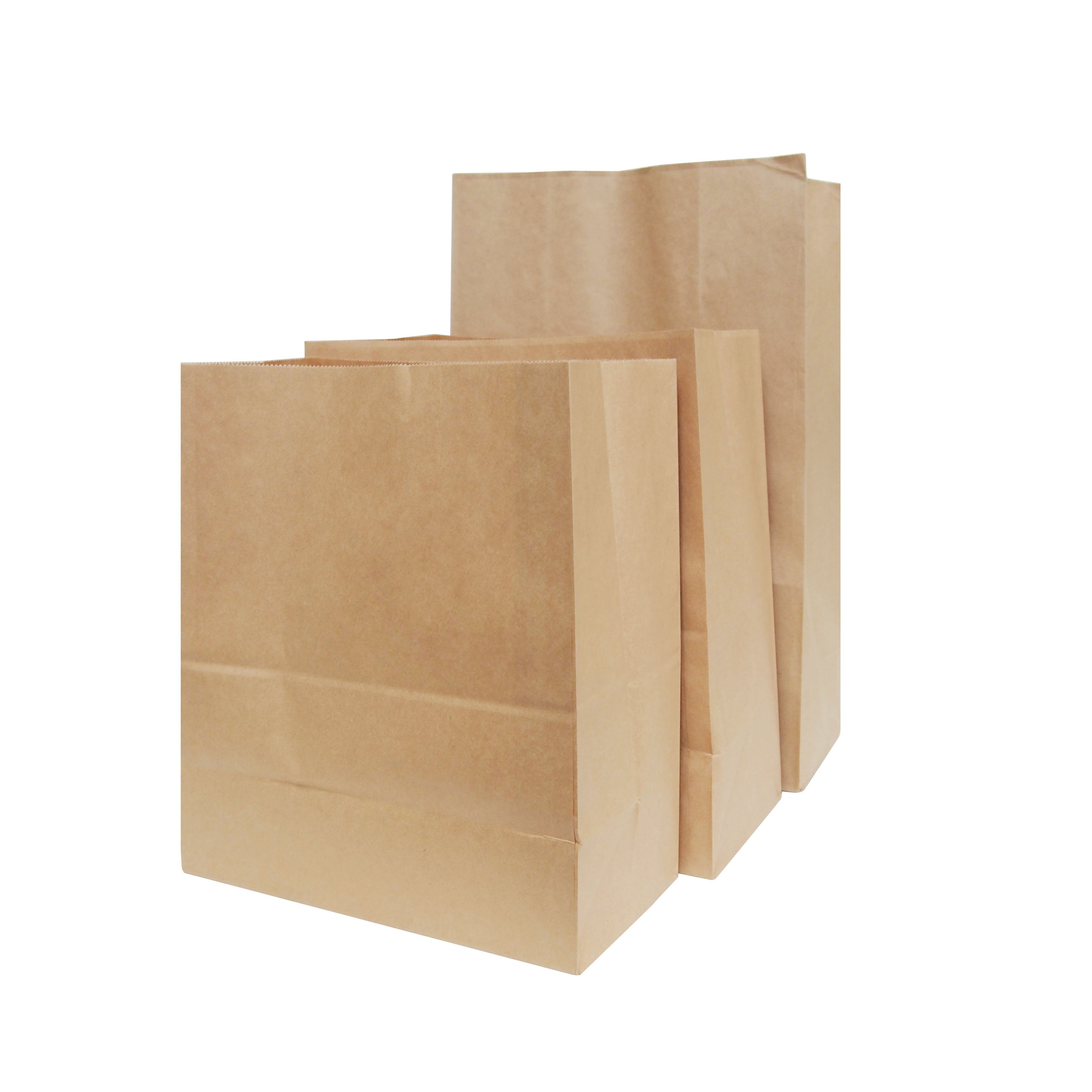 Paper Check Out Bag 280mmx440mmx150mm 250pcs