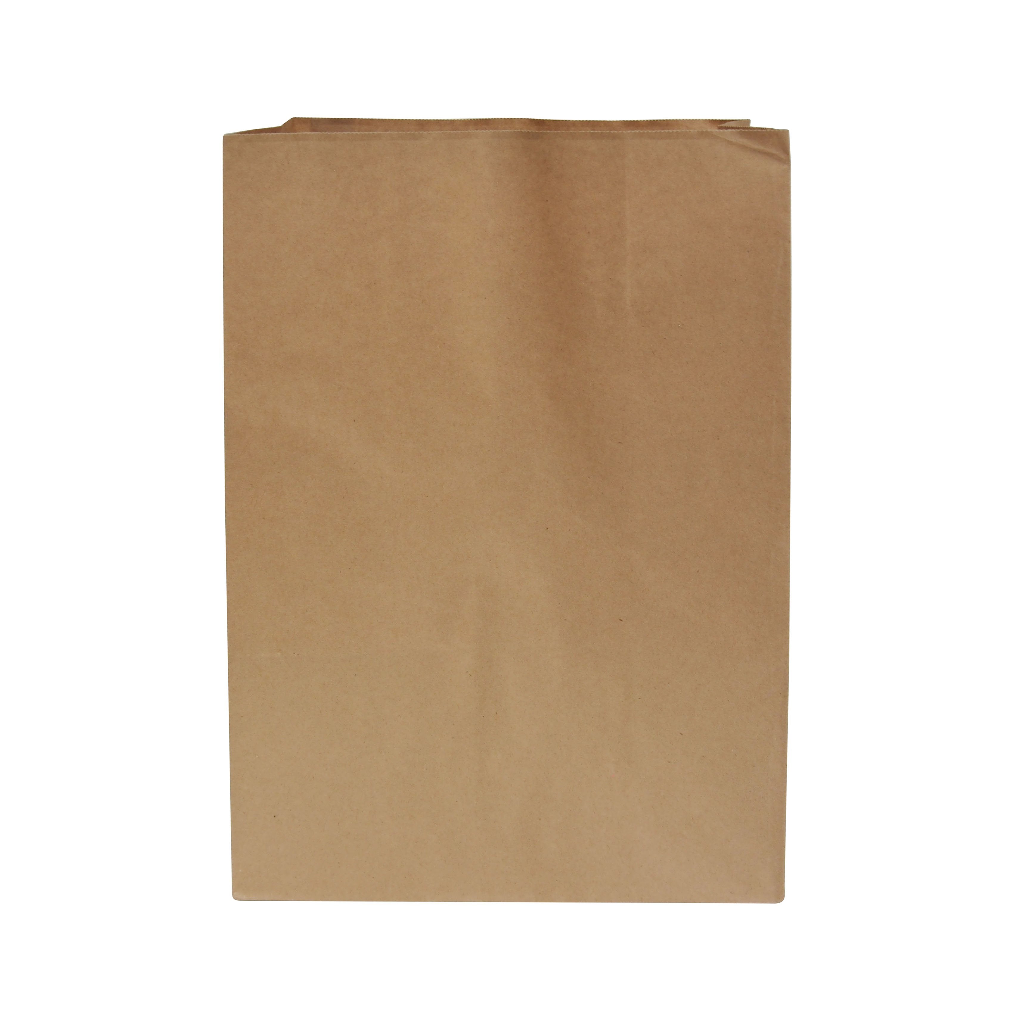 Paper Check Out Bag 280mmx440mmx150mm 250pcs