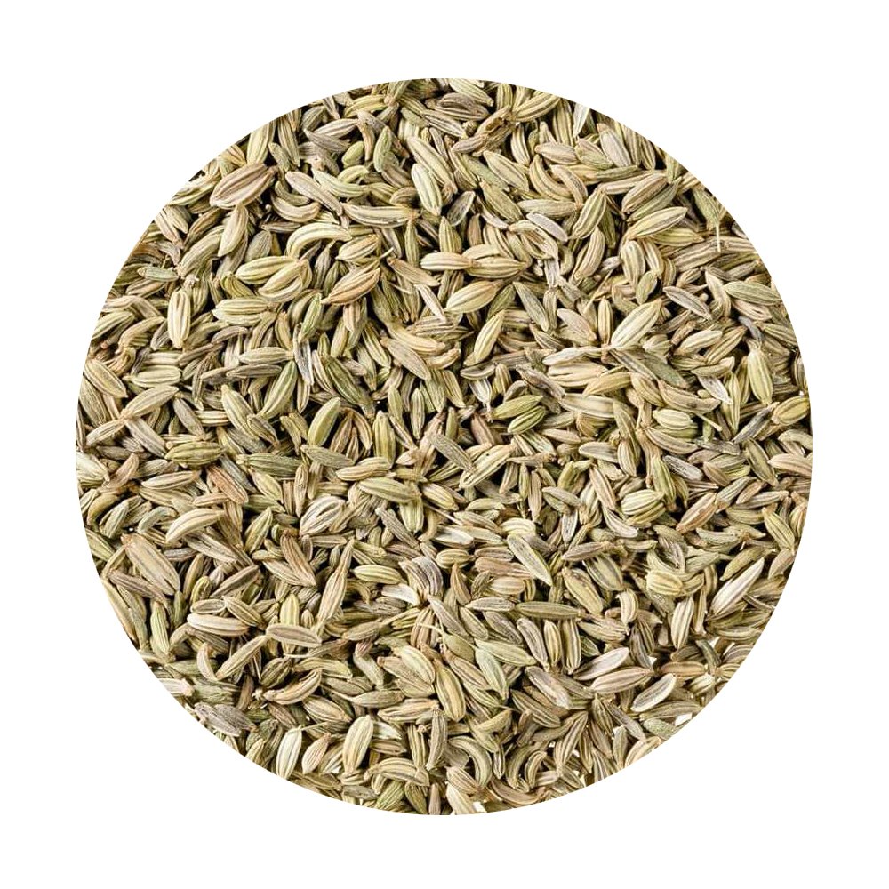 Fennel Seeds Whole 3kg