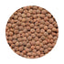 Lentils Whole Red with  Skin On 500g