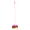 Coloured Broom Long Hande