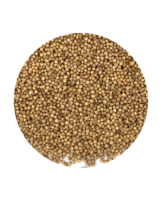 Coriander Seeds