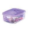 BPA Free Container