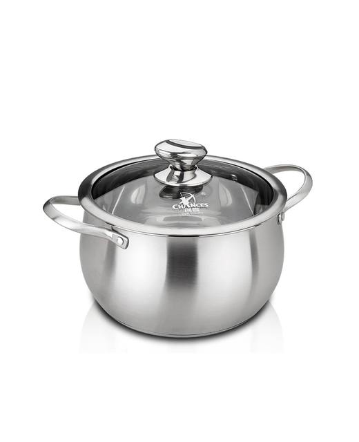 Stainless Steel Stove Pot