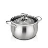 Stainless Steel Stove Pot