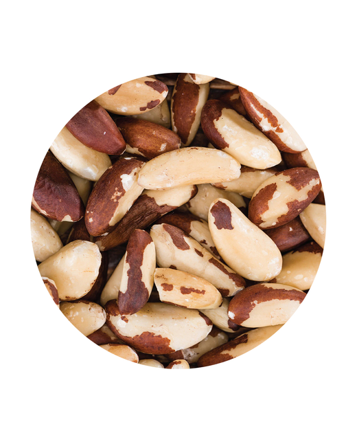 Brazil Nuts