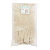 Gloves Canvas (White)