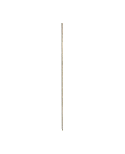 Stainless Steel BBQ Pork Skewer (Thick)