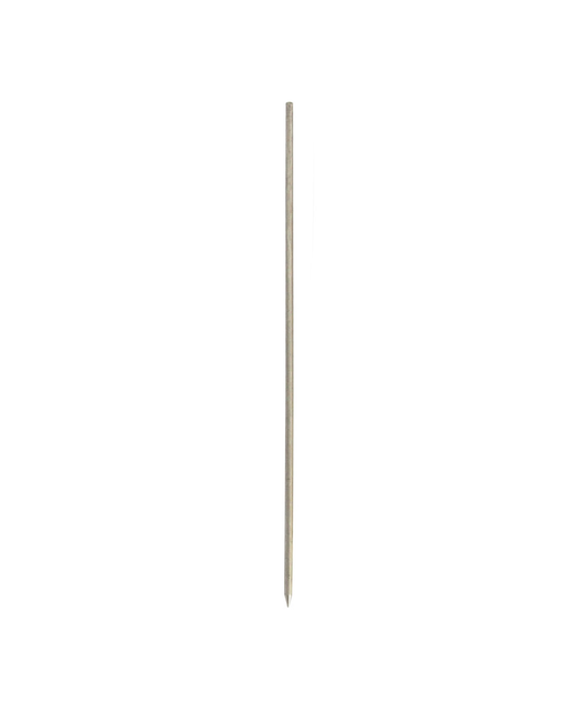 Stainless Steel BBQ Pork Skewer (Thick)