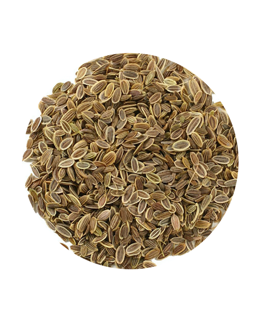 Dill Seeds